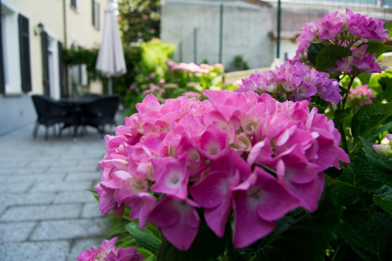 Giardino Delle Ortensie Cannobio Ngoại thất bức ảnh